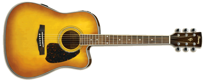  LEE'S MUSIC IBANEZ PF ACOUSTIC GUITAR MODEL #PF25ECEWC1VS